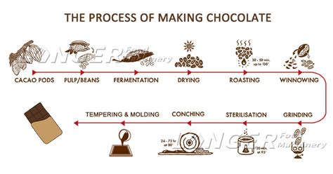 Infographic showing step-by-step process of making hazelnut chocolate spread
