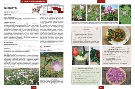 Infografika z različnimi vrstami nadevov za štruklje (skuta, orehi, sadje)