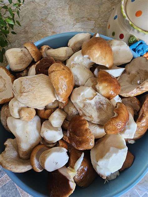 Sveži jurčki na mizi, pripravljeni za kuhanje