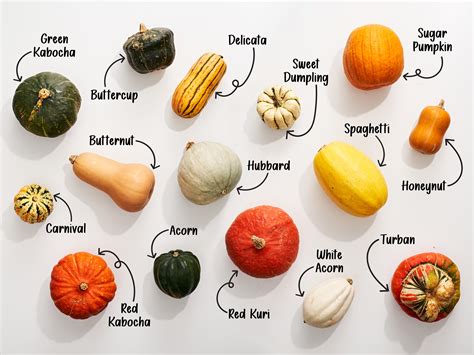 Infographic showing different types of squash suitable for gnocchi