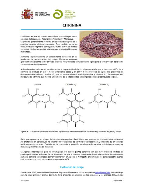 infografika: nevarnosti citrinina v rdečem kvasnem rižu