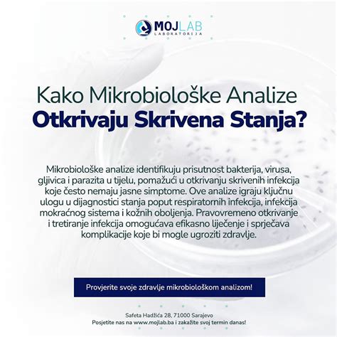 Infografika: Prikaz postopka testiranja mletega mesa (senzorične, kemične in mikrobiološke analize)