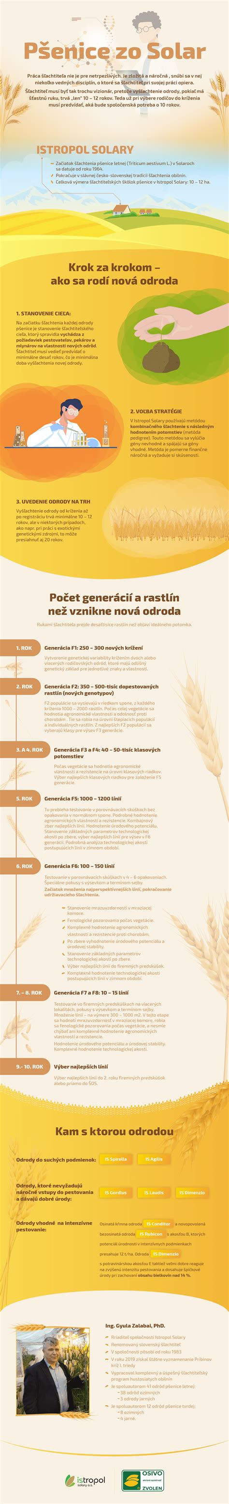 infografika o različnih tipih pšenice in njihovih značilnostih
