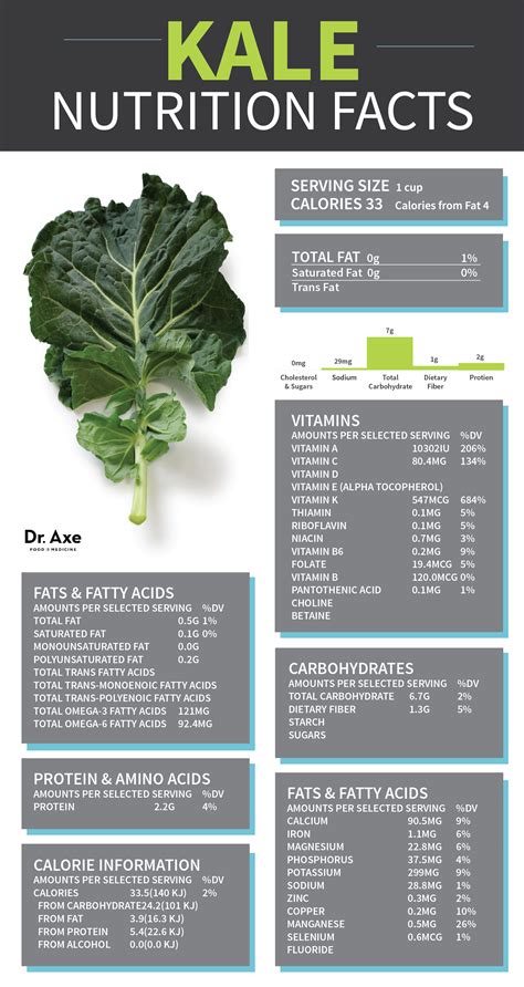 Infographic showing the nutritional benefits of kale, highlighting vitamins and minerals
