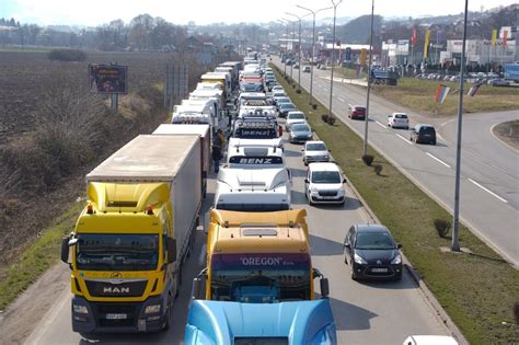 Ilustracija šetraja s poudarkom na listih in cvetovih