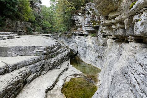 Grška pokrajina z oljkami in tradicionalnimi hišami