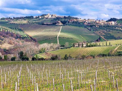 Tematska fotografija nemške pokrajine z vinogradi in pivovarnami.