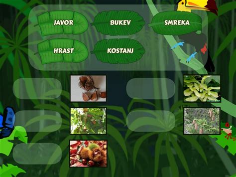 različni rilčkarji in njihovi napadeni plodovi