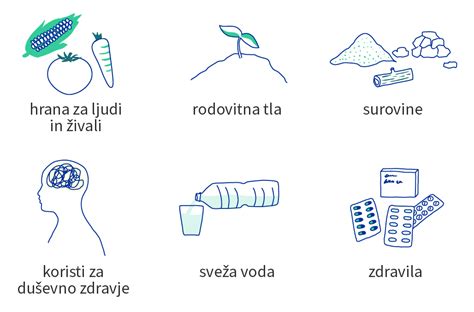 Infografika: Koristi beta-glukanov za zdravje