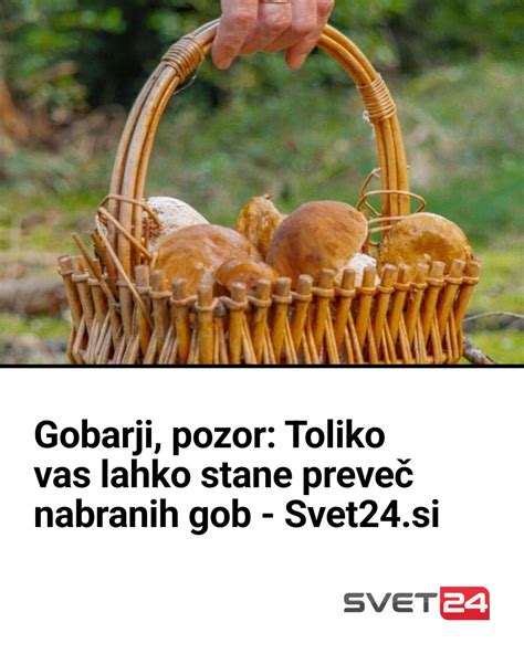 Tematska fotografija sveže nabranih gob v košari