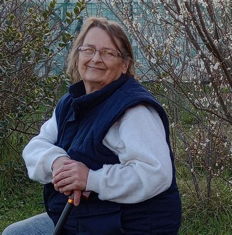 Fotografija spečenega slivovega kolača s sladkorjem v prahu in stepeno smetano
