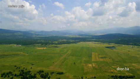 Tematska fotografija, polje fižola