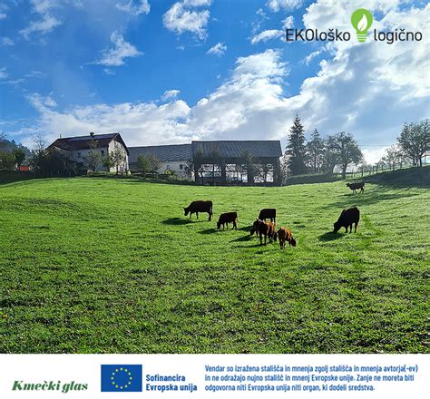 Fotografijo Oskrbovalnice ali tržnice z ekološkimi pridelki