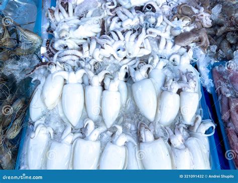 Thematic photo of fresh squid on a market stall or by the sea.