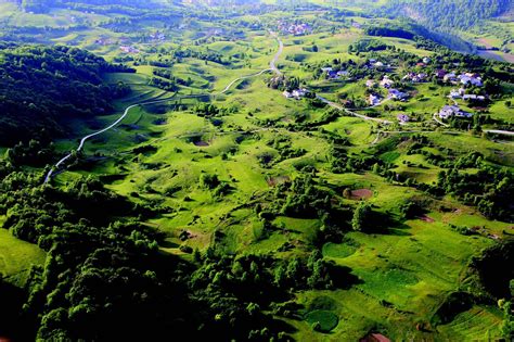 Ilustracija mesnega sira v prerezu, ki prikazuje teksturo in morebitne dodatke kot so sir ali zelenjava.