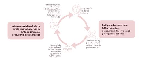 Infografika - razlika med okluzivi, emolienti in vlažilci
