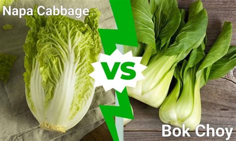 Infografika: Različne vrste kitajskega zelja (Napa cabbage, Bok choy)