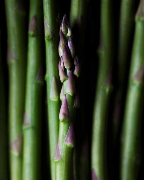različne vrste špargljev (beli, zeleni, divji)