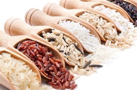 različne vrste riža za rižoto, poudarek na rižu arborio