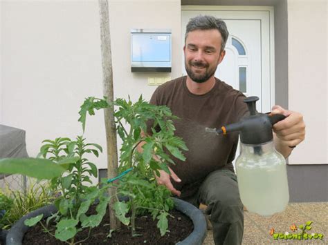 Primer vrta z obrobo, posuto s sodo bikarbono, kot zaščita pred polži