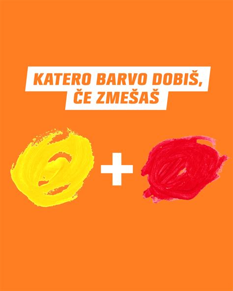 Ilustracija cvetov šentjanževke, ki kažejo značilno rumeno barvo in rdeč sok ob stiskanju.