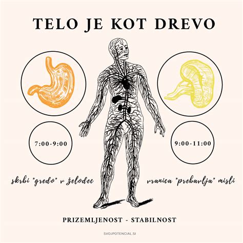 Infografika, ki prikazuje hranilno vrednost jetrc z izpostavljenimi ključnimi vitamini in minerali.