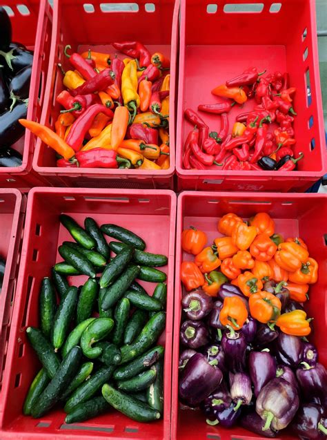 Ilustracija svežih pekočih feferonov v košarici.