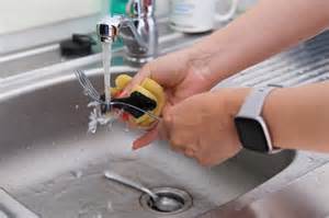 Ilustracija nabiranja in čiščenja želodov