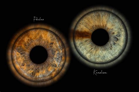 Fotografija praženega in mletega želoda