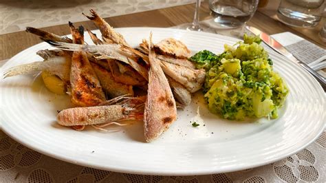 nabor pripravljenih jedi: piščanec, riba, rižota, kruh, sladica