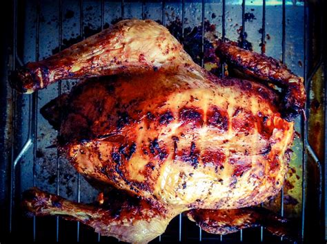 Piščanec, pečen na pločevinki piva, ki stoji pokonci na žaru.