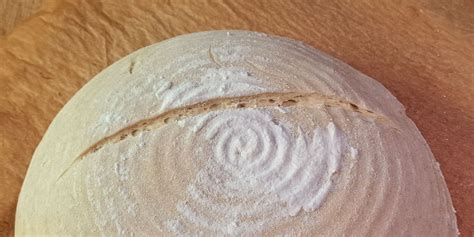 Shema oblikovanja hlebca z zarezami pred peko