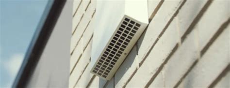 Primerjava različnih tipov solat: glavnata, rozetasta in romano.