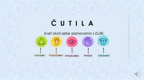 Ilustracija, ki prikazuje človeška čutila (vid, voh, sluh, okus) povezana s hrano