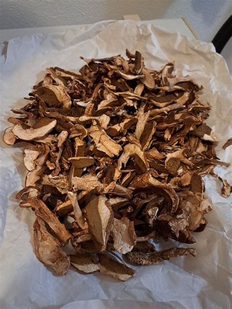 slika suhih jurčkov, pripravljenih za namakanje