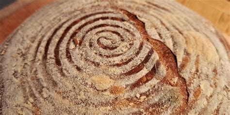 Fotografija posode z aktivnimi drožmi, ki kažejo mehurčke.