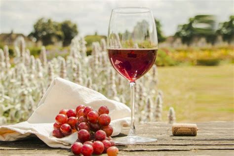 shematski prikaz izbire vina za kuhano vino: rdeče (sadno, srednje močno) in belo (aromatizirano, sveže)