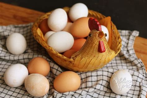 Primerjava rjavih in beljenih jajc