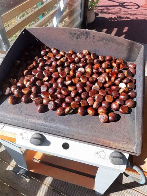 Ulična stojnica s pečenim kostanjem