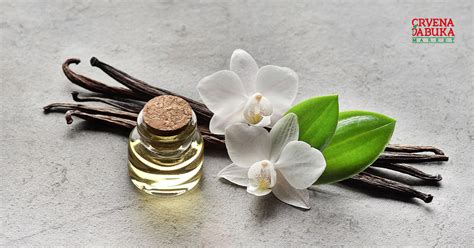 Prikaz borovnic, ki se kuhajo v loncu, z dodatki, kot sta vanilija ali aroma borovnic