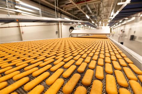 Shematski prikaz proizvodne linije za sladoledne palčke