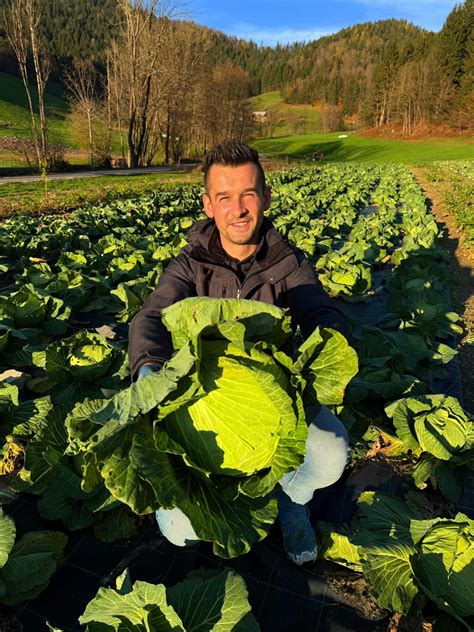 narezana zelenjava (paprika, čebula, česen, ingver) pripravljena za kuhanje