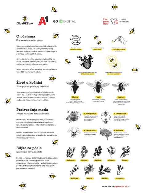 Infografika s koraki priprave mlečnega riža, vključno s slikami sestavin in končnega izdelka