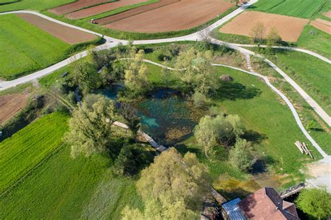 Fotografija kače v njenem naravnem okolju