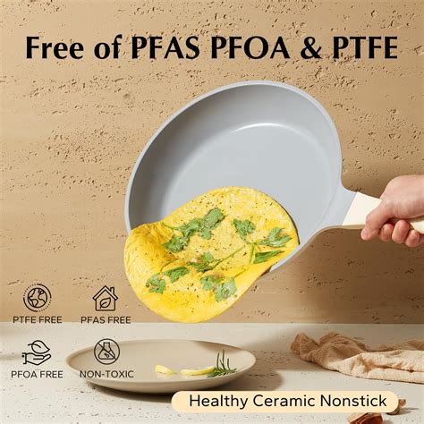 infografika o varnosti PTFE premazov in odsotnosti PFOA, svinca, kadmija v Tefal posodi