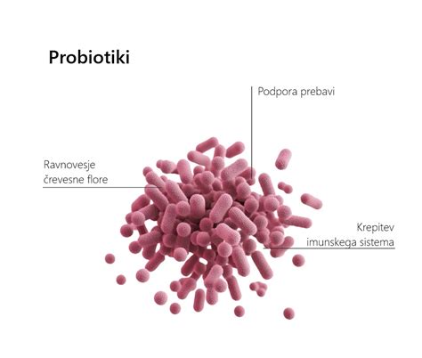 Shema: Vpliv probiotikov na črevesno floro in prebavo