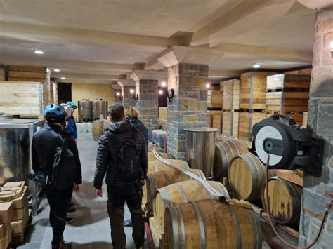 Slika bogato založene vinske kleti ali vitrine z izbranimi vini