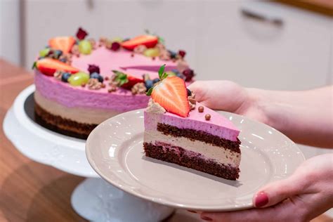 Vizualizacija plasti torte Gozdna Pravljica z biskvitom, nadevom iz gozdnih sadežev in šlagom.