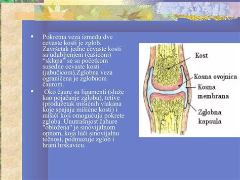 Skeletni diagram noža Burja s prikazom konkavne klančine in Tsuchime teksture