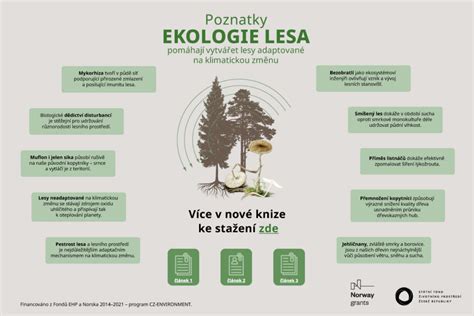 Infografika o vrstah lesa za kajenje in njihovih aromatičnih profilih